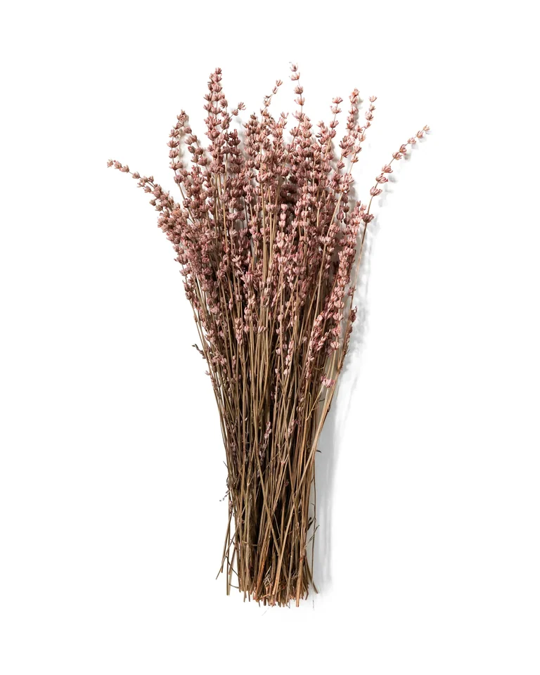 Bunt konserverad lavendel i dämpat rosa