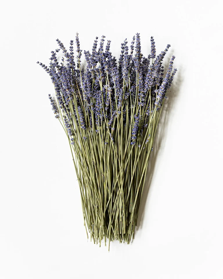 Bunt torkad lavendel med smala blålila ax