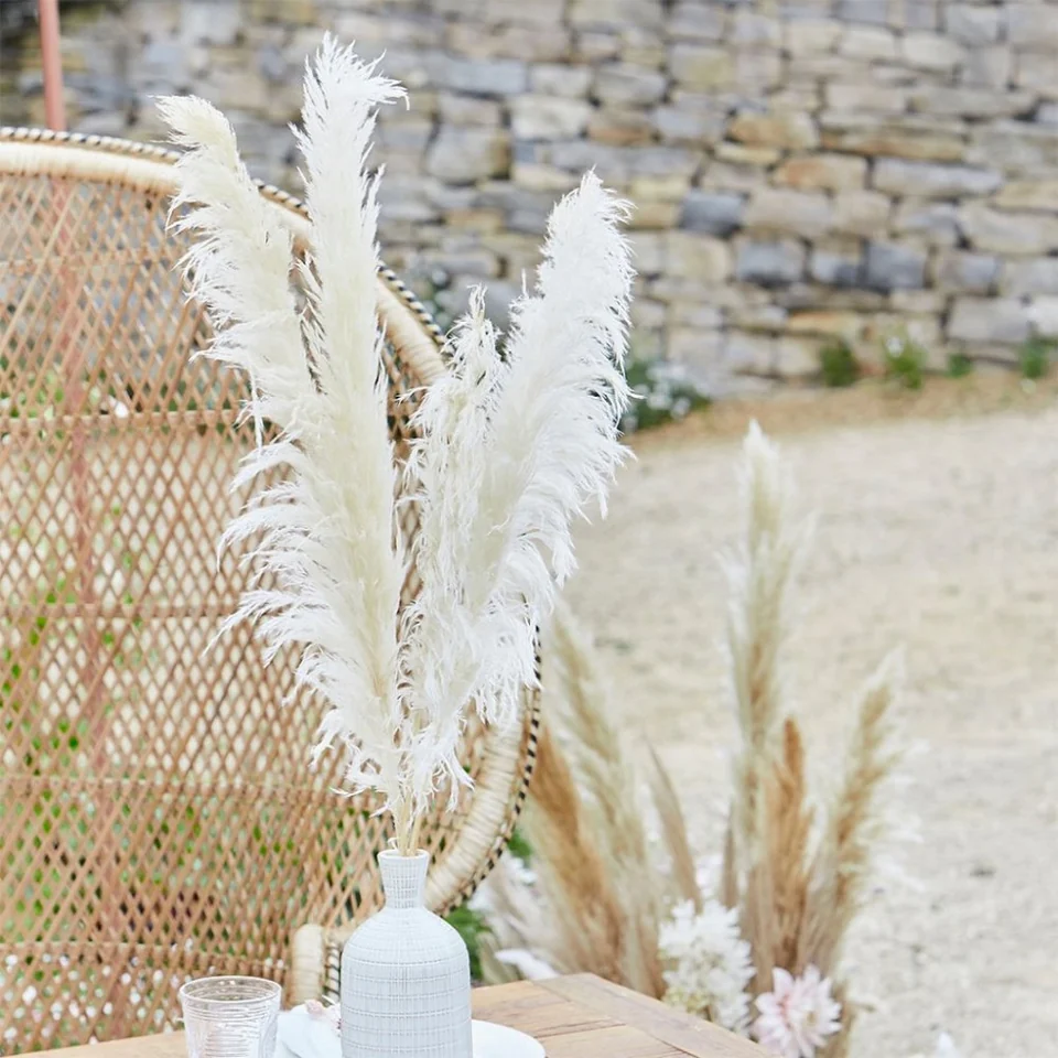 Blekt pampasgräs i ljus off white-ton