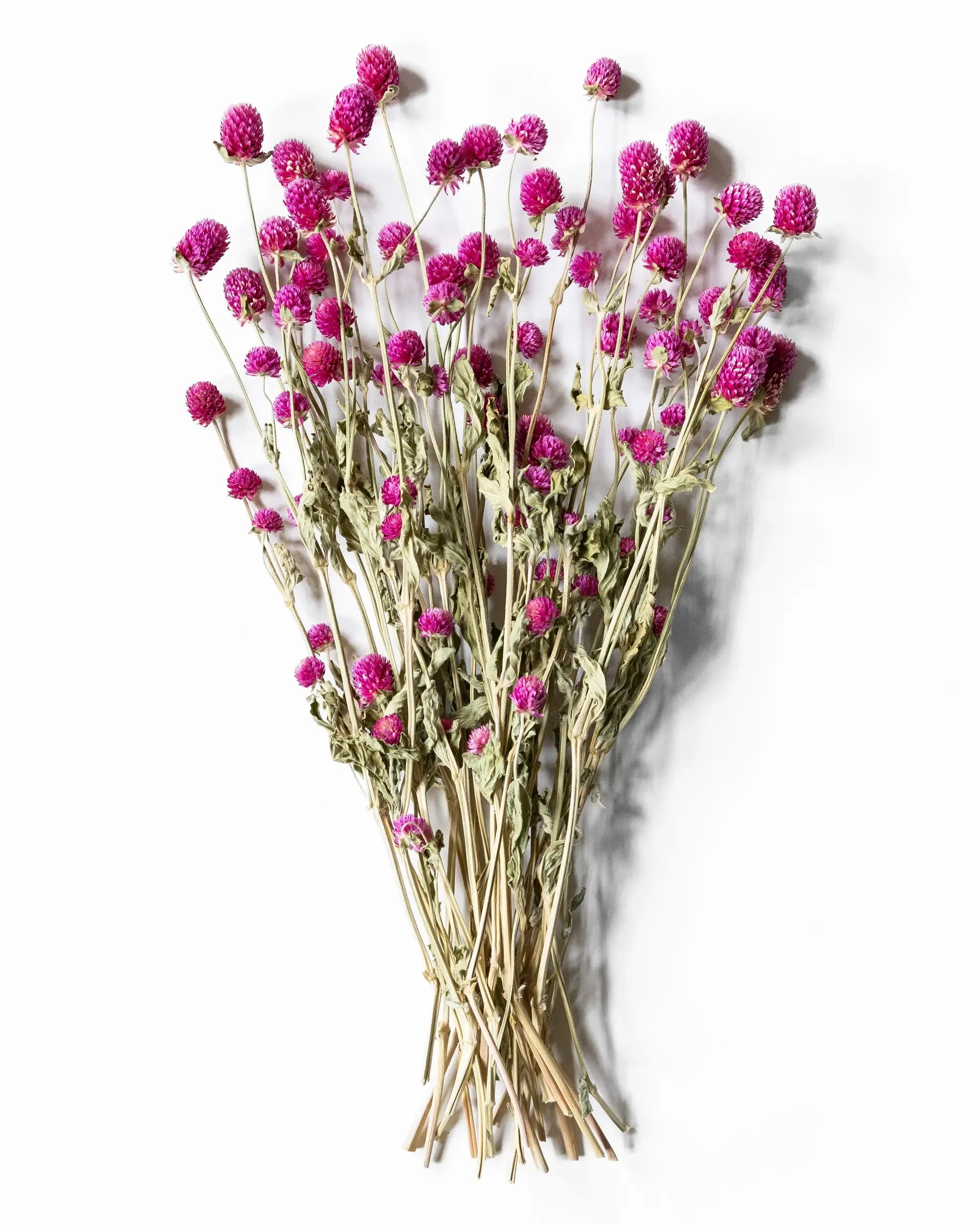 Klotamarant Cerise - Kvartsbunt