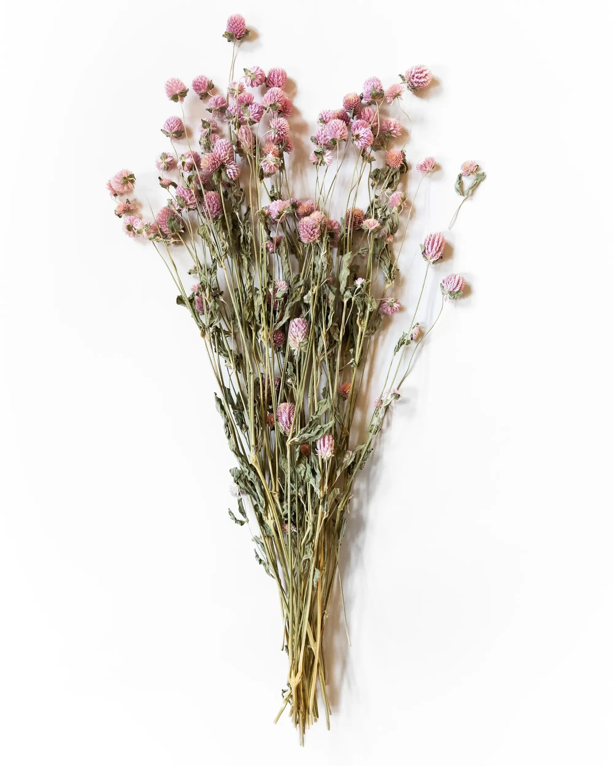 Klotamarant Rosa - Kvartsbunt