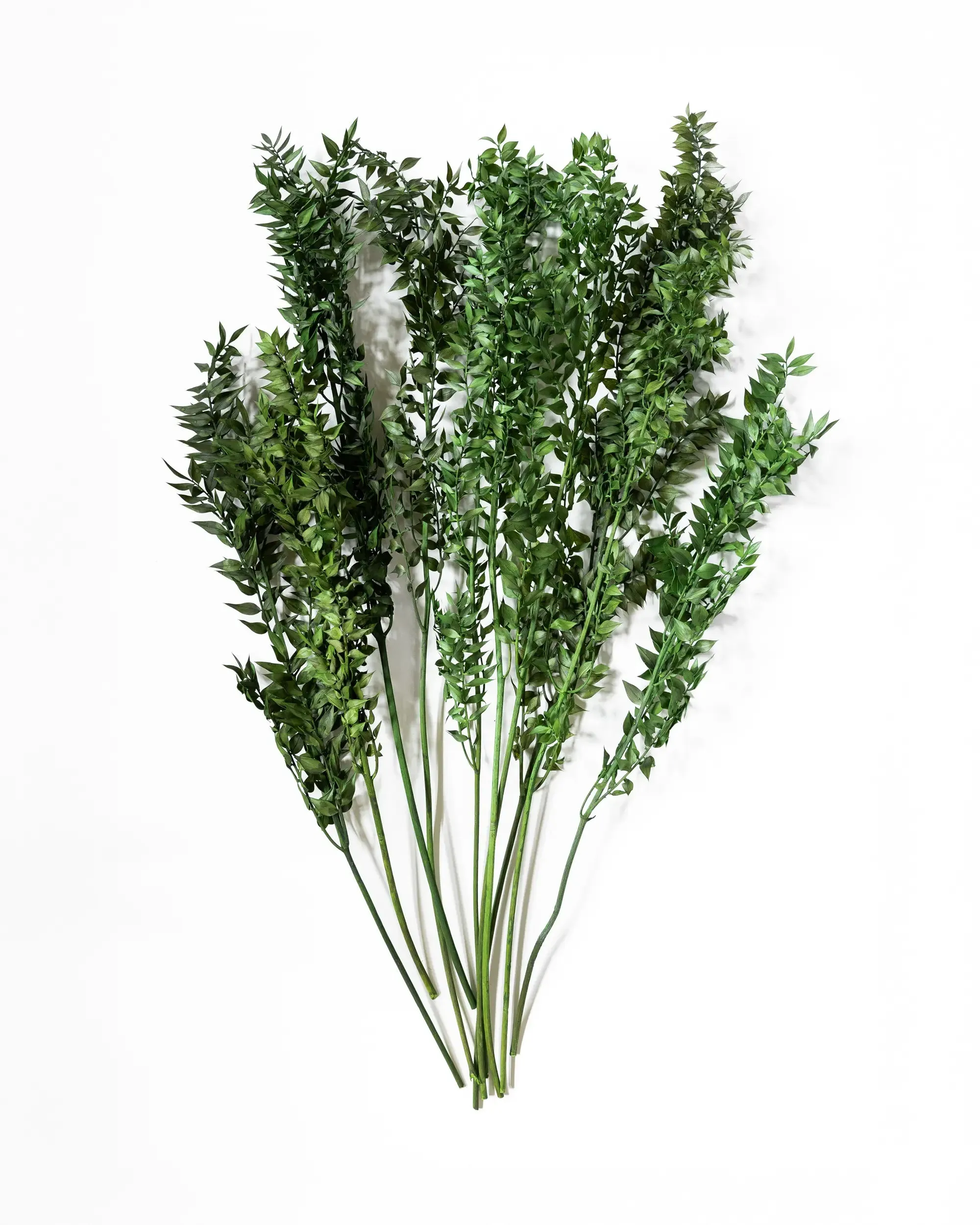 Konserverad Ruskus - Halvbunt