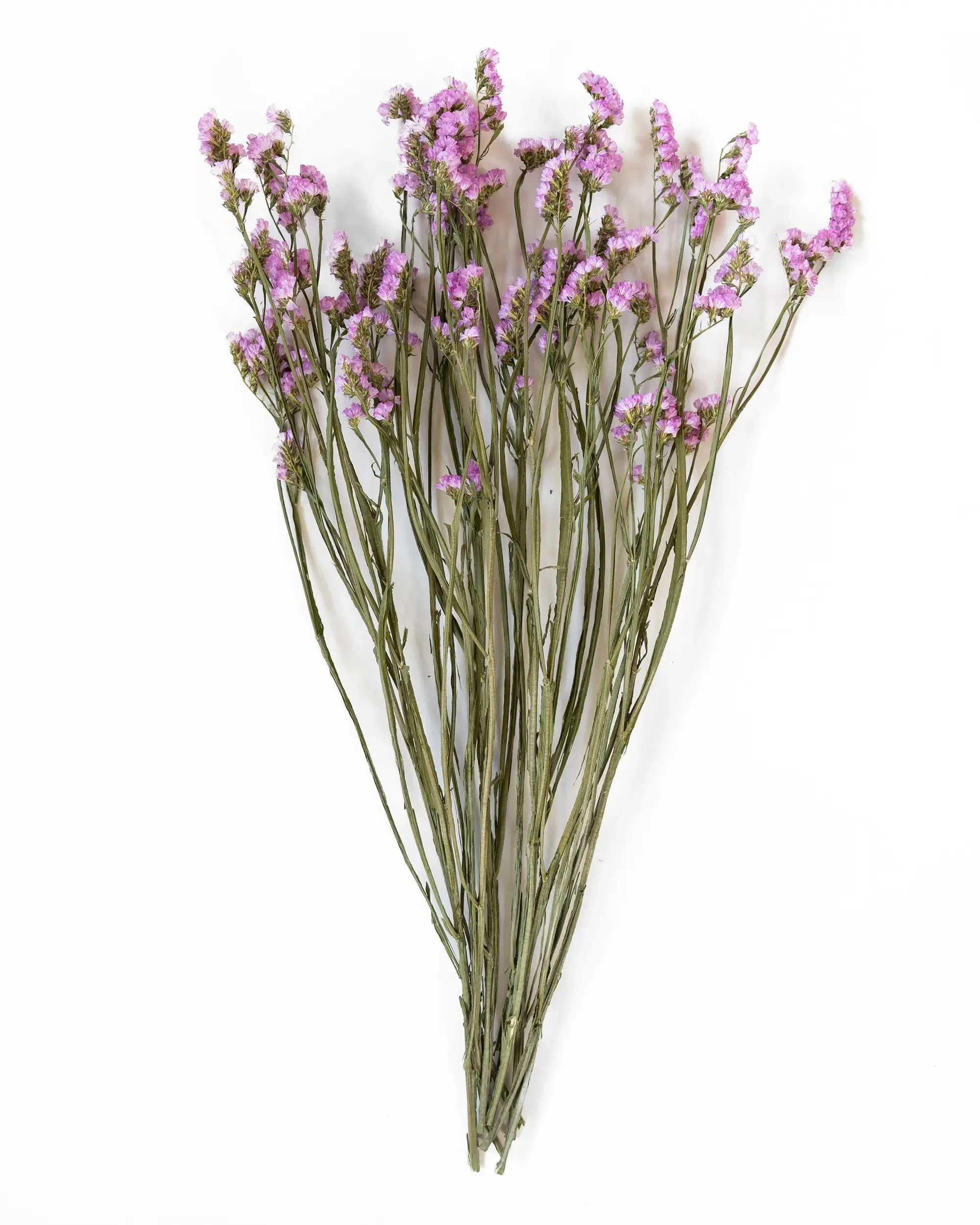 Risp Ljusrosa - Helbunt