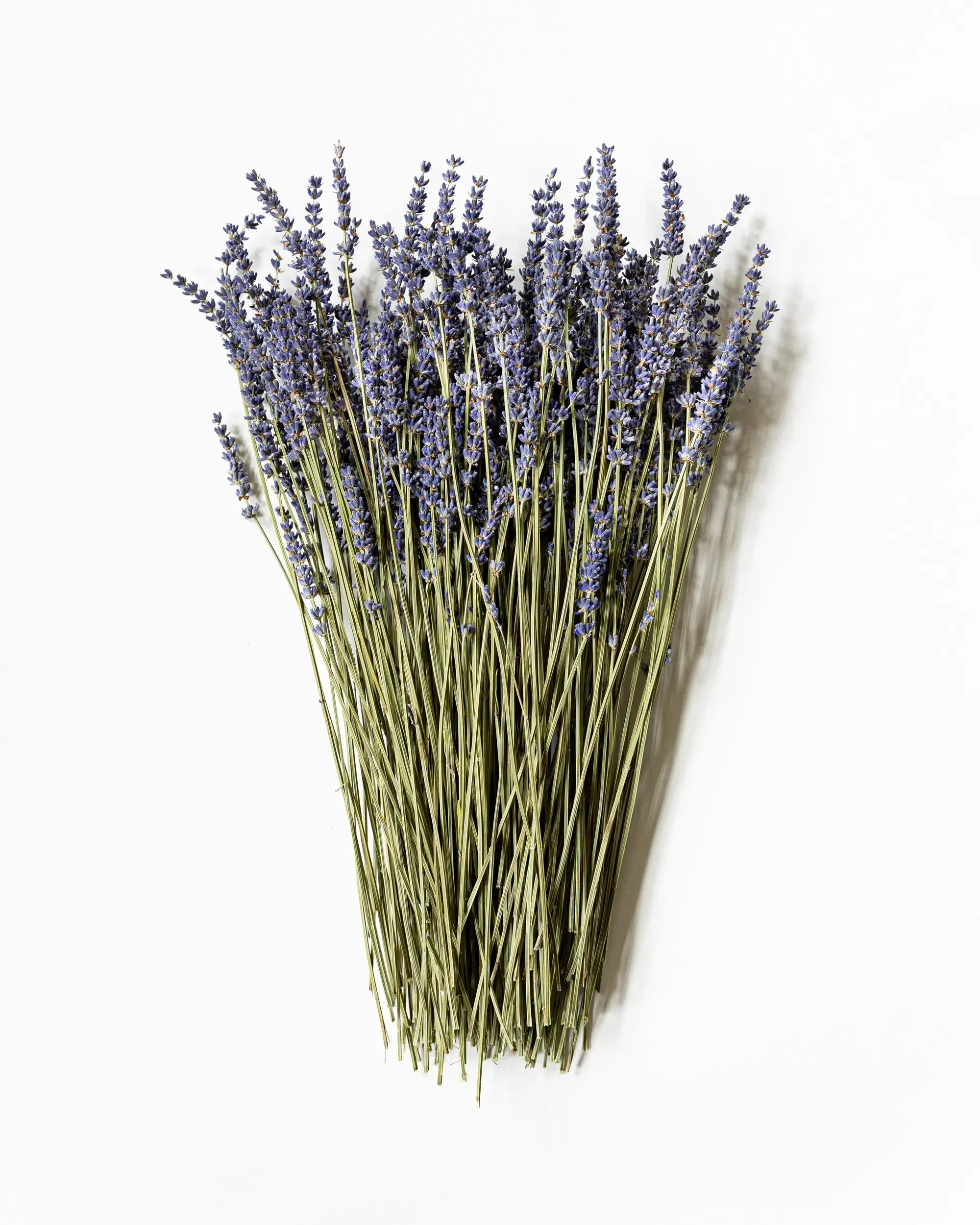 Torkad Lavendel - Kvartsbunt