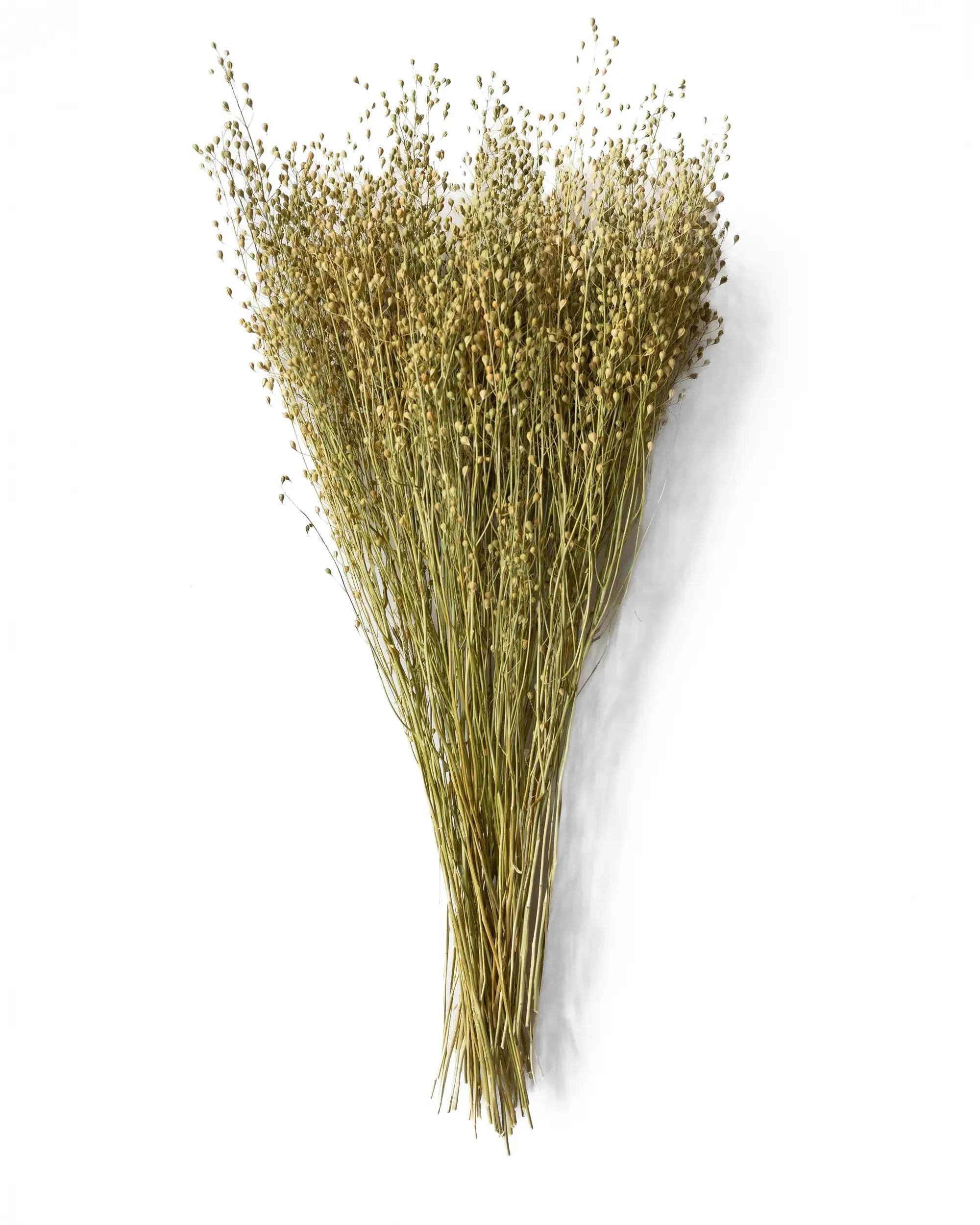 Torkad Lepidium - Kvartsbunt