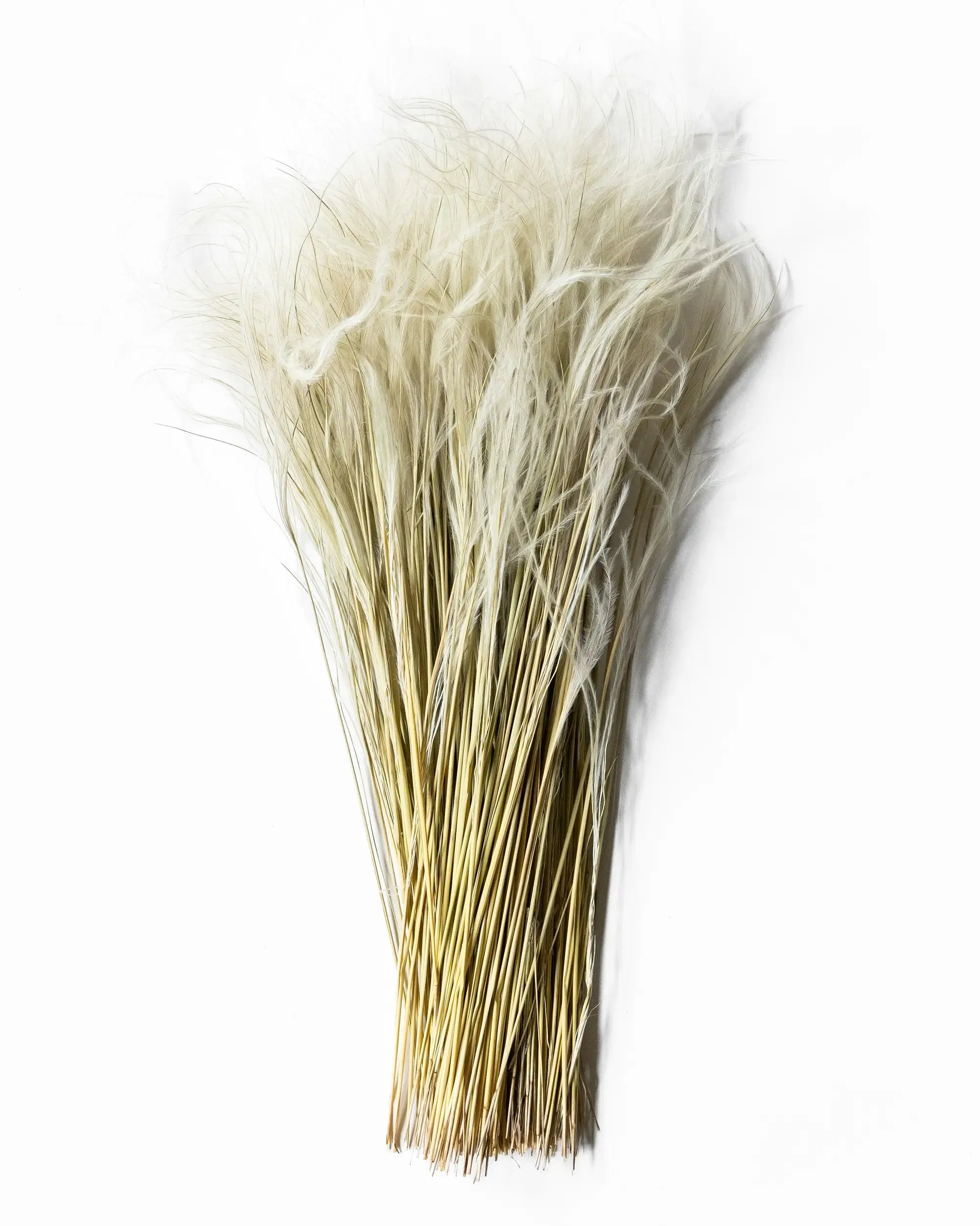 Torkat Fjädergräs - Kvartsbunt