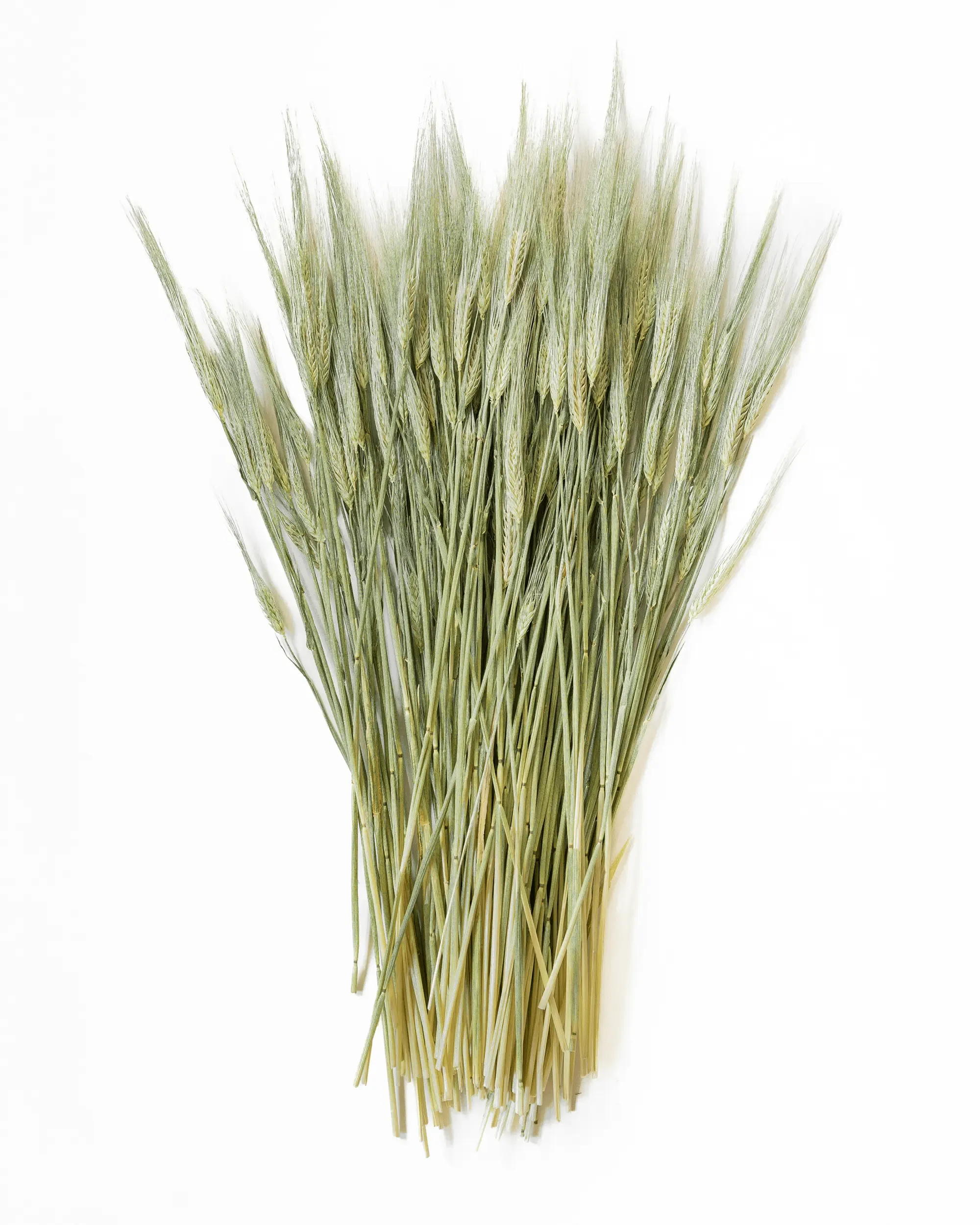 Torkat korn - Helbunt