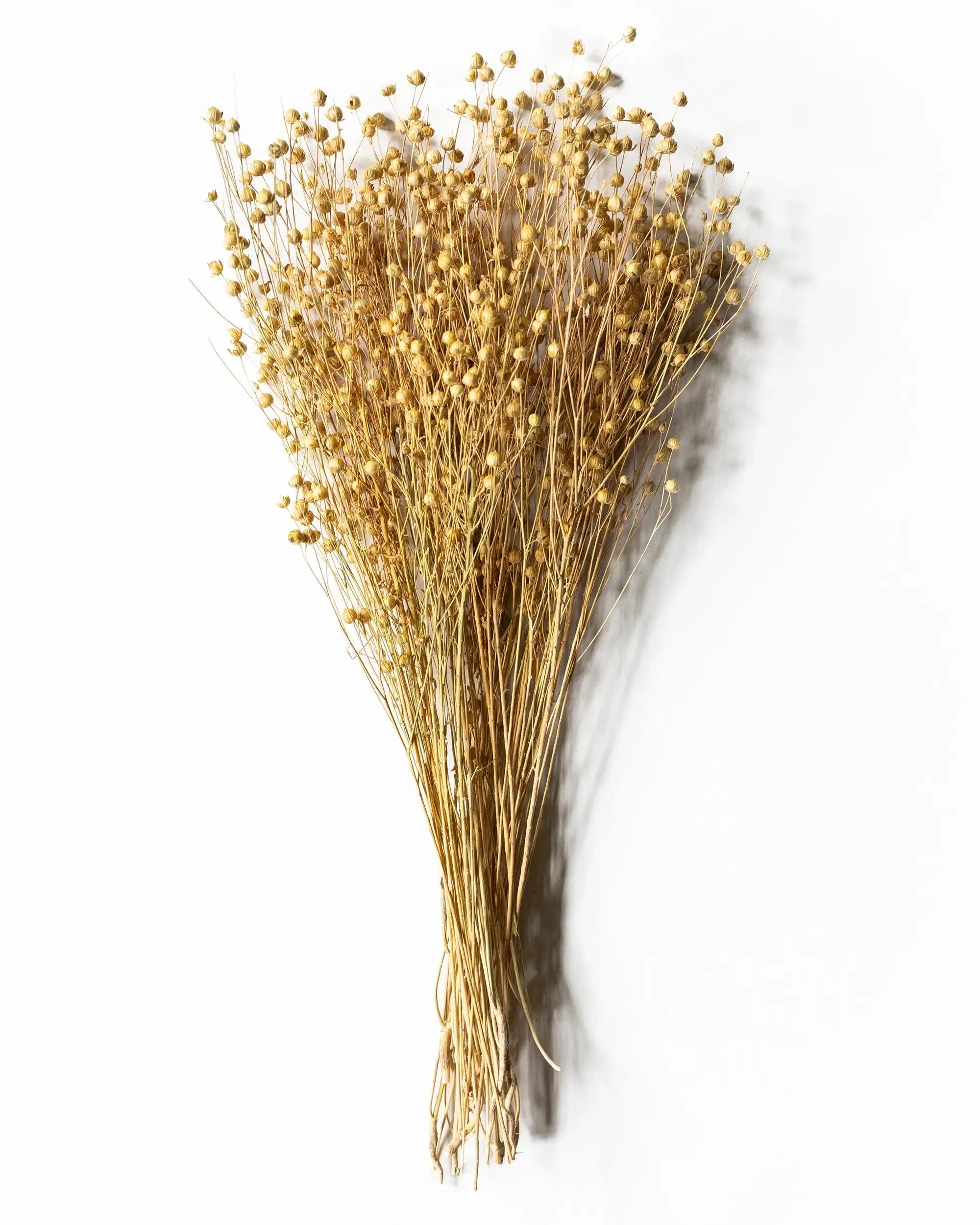 Torkat Lin - Kvartsbunt