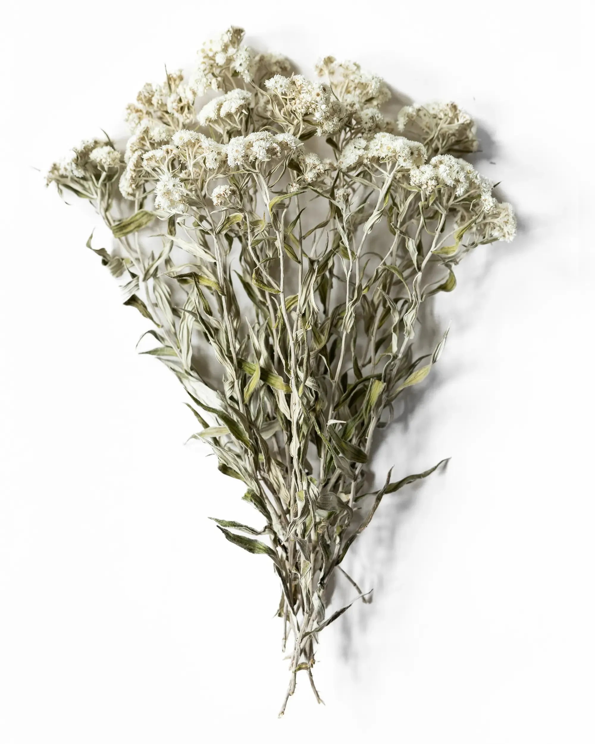 Ulleternell - Helbunt